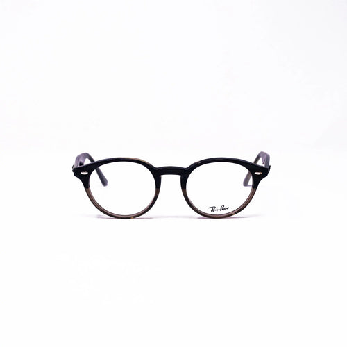 Ray Ban Gris