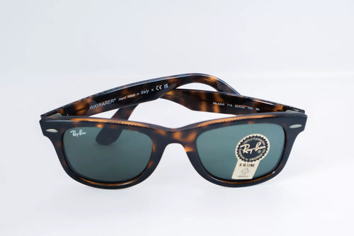 Ray Ban Carey